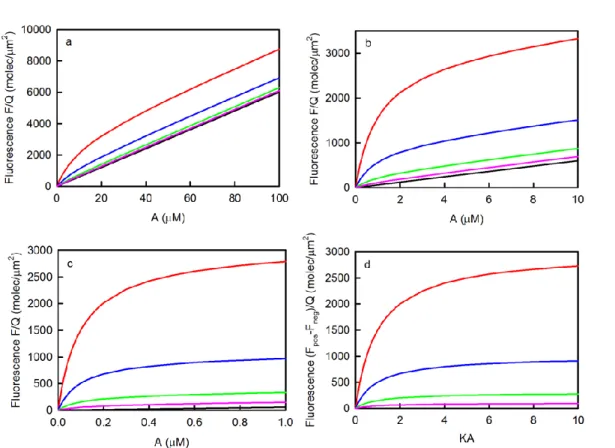 Figure 2.3:  Measurement of K by Steady-State TIRFM.  These plots show the values of Eq