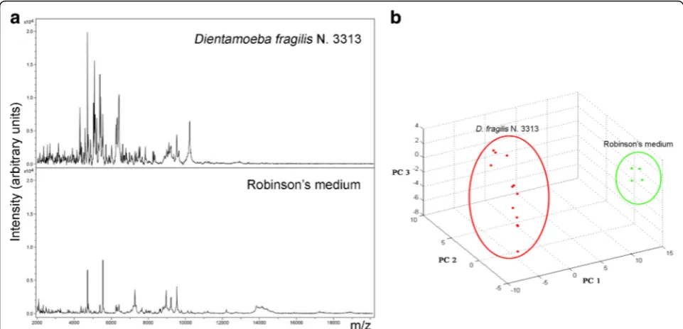 Fig. 1 Comparison of the spectra obtained for the D. fragilis No. 3313 reference strain (DF3313) and the Robinson’s medium alone (a) and clusteranalysis by principal components analysis (PCA) (b) of the replicates of the DF3313 (red) and of the Robinson’s medium alone (green)