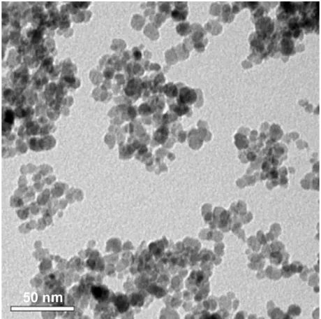 Figure S1 Transmission electron microscopy image of ceric ammonium nitrate (CAN)-Magh nanoparticles (NPs).