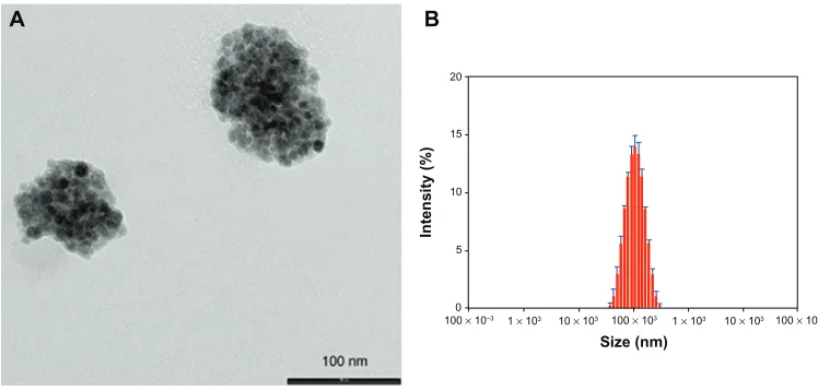 Figure 2 TEM image and relative DLS measurements of Magh-1-PNPs. TEM image (A) and relative DLS measurements (B) of Magh-1-PNPs.Abbreviations: TEM, transmission electron microscopy; PNPs, polyethyleneglycol-based nanoparticles; DLS, dynamic light scattering.