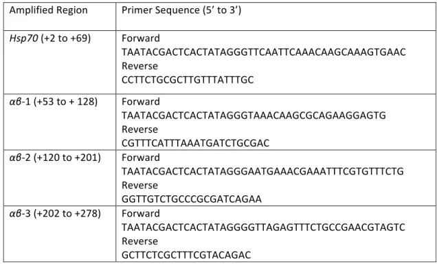 Table	  A1-­‐2:	  	  Primers	  used	  for	  RIP,	  CLIP,	  and	  PAR-­‐CLIP	  analysis	   	   	   	   	   	   	   	   	   	   	   	   	   	   	   	  