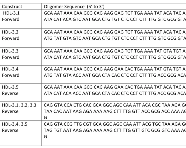 Table	  A1-­‐4:	  	  Synthetic	  oligomers	  used	  to	  generate	  the	  Dm88	  reporter	  constructs 	   	  