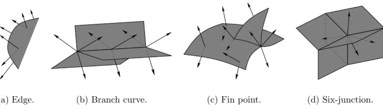 Figure 2.2: The generic local singular structures for the Blum medial axis in R 3 .
