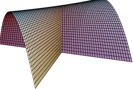 Figure 2.3: The Whitney umbrella is an example of a stratified set that fails the first condition required of a skeletal set