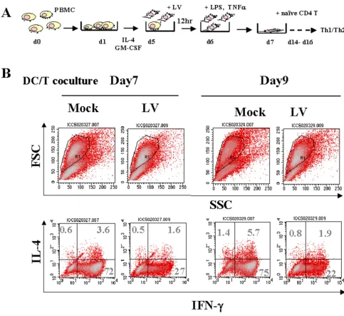 Figure 2Impaired Th1 response induced by LV-transduced DCsand IL-4 and IFN-Impaired Th1 response induced by LV-transduced DCs