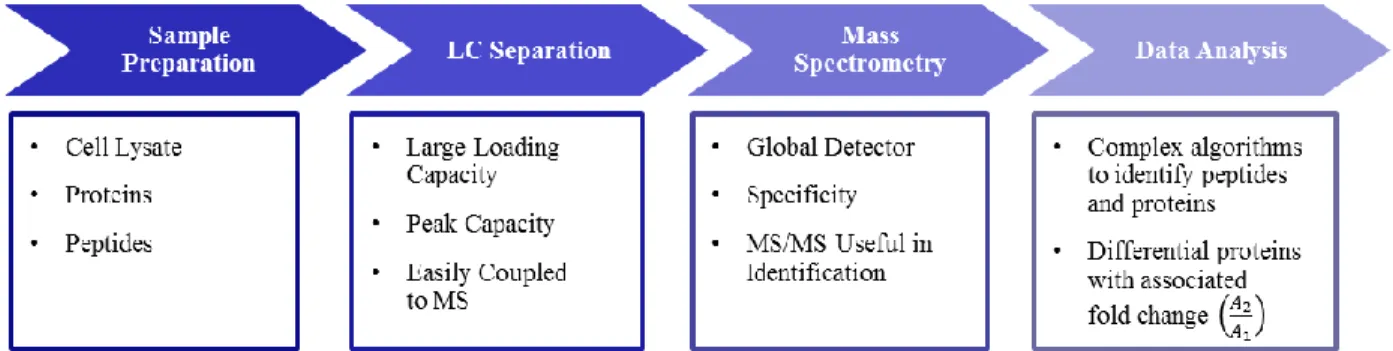 Figure 1.3. A workflow is outlined for a generic proteomics experiment. The experiment starts  with a cell lysate