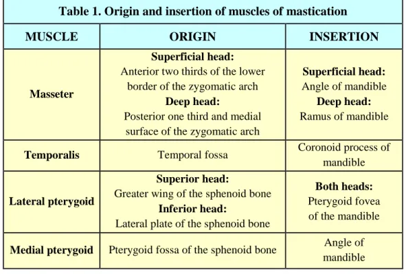Table 1. Origin and insertion of muscles of mastication 
