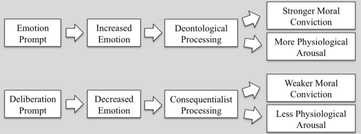 Figure 4.1: The Path from Emotion and Deliberation to Attitude Moralization