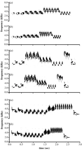Figure 2.1 Exemplars of treatment songs  8.0  6.0  4.0 2.0 0.0 8.0  6.0  4.0 2.0 0.0 0.0   0.5     1.0             1.5             2.0          2.5              3.0 frequency (kHz) time (sec)(a)(b)8.0 6.0 4.02.00.08.0 6.0 4.02.00.0 frequency (kHz)(a)(b)8.0