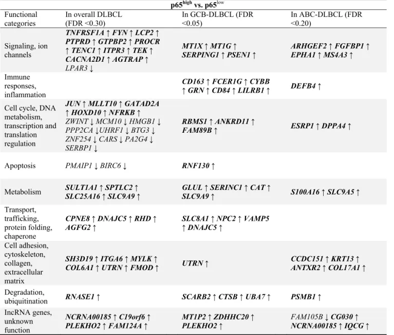Table 3. Differentially expressed (canonical activation) genes between p65 high  vs. p65 low  patients with diffuse  large B‐cell lymphoma (DLBCL).   p65 high  vs