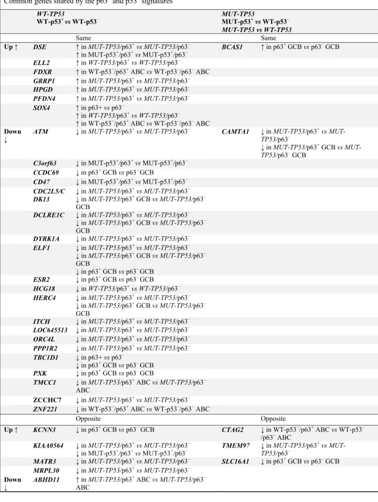 Table 5 Lists of differentially expressed genes between p63 +  and p63 –  DLBCL that are also in the p53  signatures and MDM2 signatures  