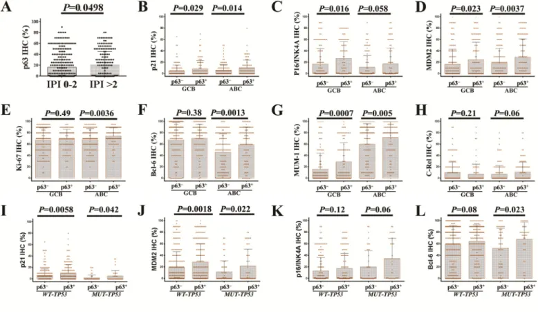 Figure  2.   Correlations  between  p63  expression  and  other  tumor  associated  factors