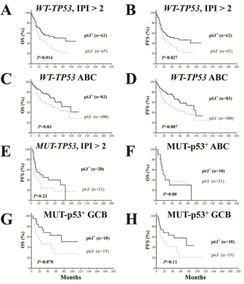 Figure 5. Prognostic analysis for p63 expression in DLBCL patients with wild‐ type and mutated TP53