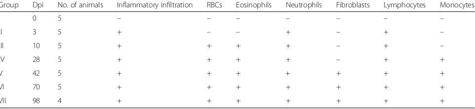 Table 2 The presence (+) and absence (−) of gross pathological lesions, flukes and fluke eggs in the liver of buffaloesexperimentally infected with F