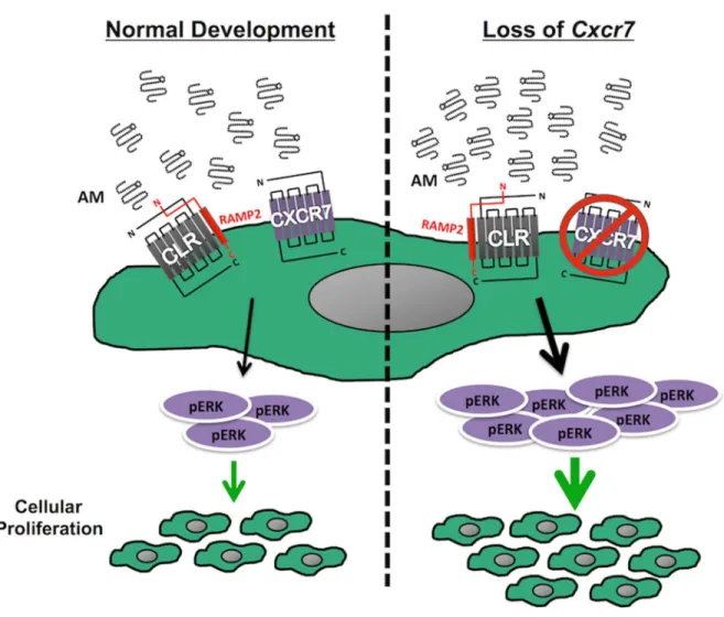 Figure 2-A1. Graphical Abstract 