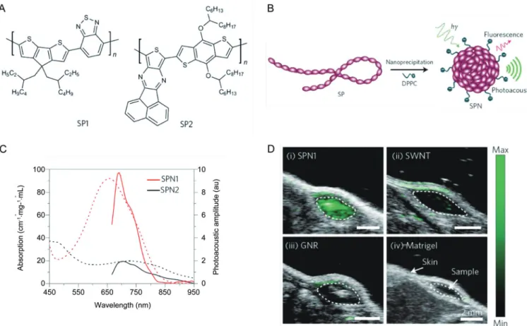 Figure 4.  (A) Molecular structures of conjugated polymer SP1 and SP2.  (B) Schematic of the preparation of the semiconducting polymer nanoparticles  (SPN)