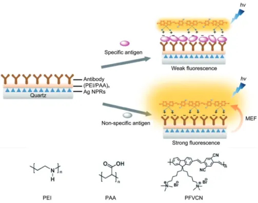 Figure 8.  Schematic illustration of the structure and the mechanism of nano-rule detection platform for specific antigen detection assay