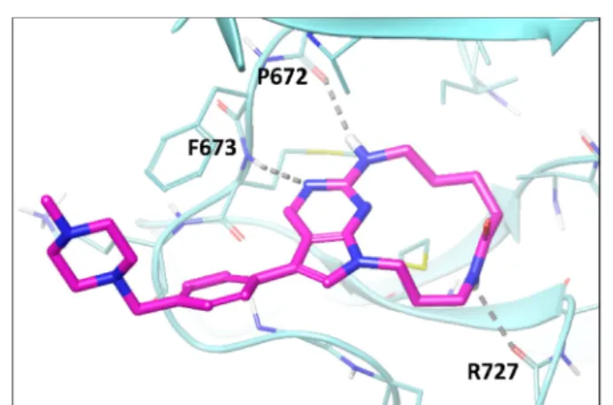 Figure 2. X-ray structure of macrocyclic compound 3 complexed with MerTK protein (kinase domain) (PDB code 5K0K).