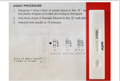 Figure 3 Interpretation section of the information insert and cassette of a Plasmodium falciparum/Plasmodium vivax RDT