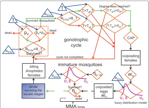 Figure 4 Flow chart of the simulation of the mosquito population. Flow chart of various components of the LMM version of 2010regarding the simulation of the mosquito population