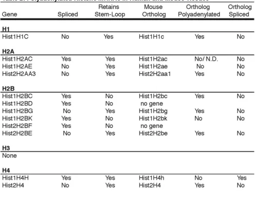 Table 4. Polyadenylated replication-dependent histone mRNAs in mouse and  human tissues 