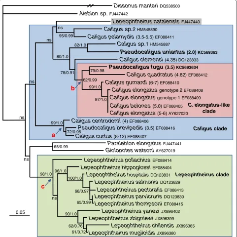 Figure 1 Analyses of SSU rDNA of 31 caligid taxa. Maximum likelihood (ML) phylogeny of the Caligidae based on 1685 characters of alignedSSU rDNA sequence data