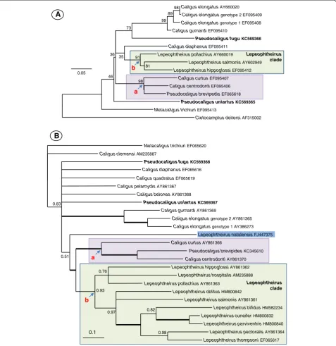 Figure 3 Phylogenetic trees of mitochondrial DNA sequence analyses for the Caligidae. A) Maximum likelihood tree constructed fromanalysis of 462 characters of aligned small subunit 16S ribosomal gene