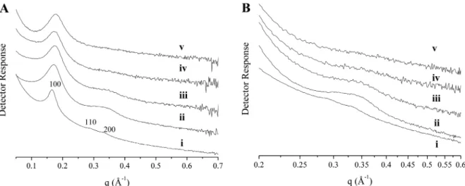 Figure 4. Transmission electron micrographs of (A) 1100, (B) 450, (C) 150, and (D) 30 nm AEAP3-modiﬁed mesoporous silica nanoparticles.