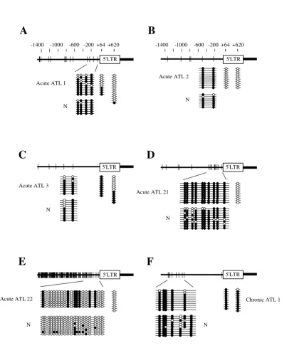 Figure 5DNA methylation of provirus is not associated with methylated CpG sites in the genomeDNA methylation of provirus is not associated with methylated CpG sites in the genome