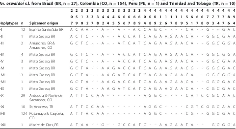 Table 2 Comparative alignment and size differentials of the 13 unique ITS2 haplotypes detected in 192 specimens ofAn