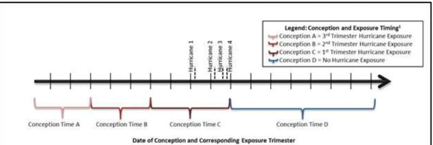 Figure 2.4 Hypothetical exposure trimester timing by date of conception (which result in live birth and hurricane  exposure) for Aim 2 analysis 