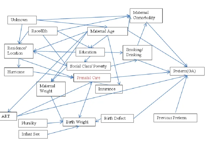 Figure 2.8 Example Directed Acyclic Graph (DAG) of hurricane exposure and preterm delivery association 