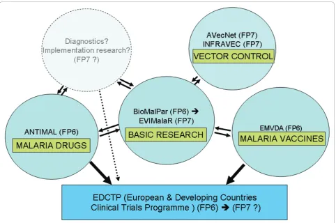 Figure 4 Large FP6- and FP7-supported malaria projects structuring ERA.