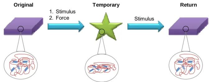 Figure 1.1: A cartoon demonstrating a shape memory cycle. A stimulus and force are  applied to the original shape, and it is then fixed in its temporary shape