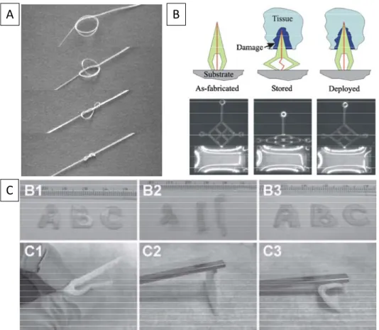 Figure 1.2: Applications of SMP materials. Image A shows a self-tying suture going from  its temporary shape to its original shape; Image B shows a neural probe (rough 1 mm in  size) going through its shape memory cycle and its potential to push itself bey
