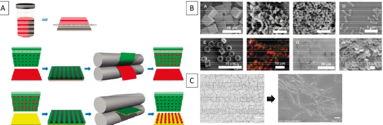 Figure 1.5:  The PRINT TM  process and the various particle shape and sizes this  process can yield