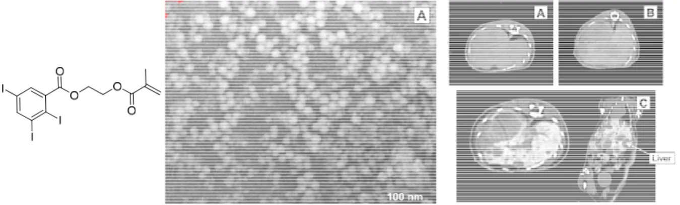 Figure 1.12: Left shows the structure of 2-methacryloyloxyethyl(2,3,5-triiodobenzoate); 