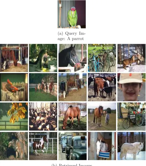 Figure 2.3: A CIRES Query of a Parrot based on an Example Image