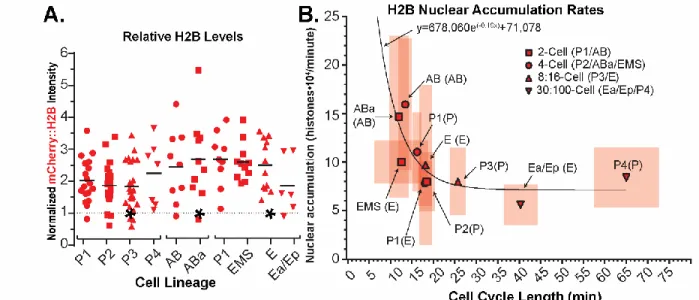 Figure 6: Histone nuclear import rates scale inversely to cell cycle length.  