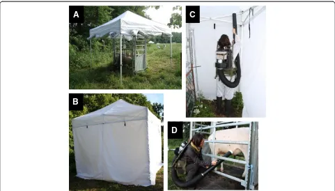 Figure 1 Collection procedure performed during the study. (A) drop trap and crush pen; (B) closed drop trap; (C) collection of midges byaspiration of the drop trap (study A and C); (D) collection of midges by direct aspiration (study B).