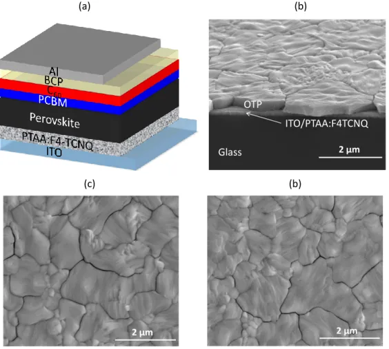 Figure 3.1 (a) Schematic structure of the devices in this study. The thickness of each layer was not 