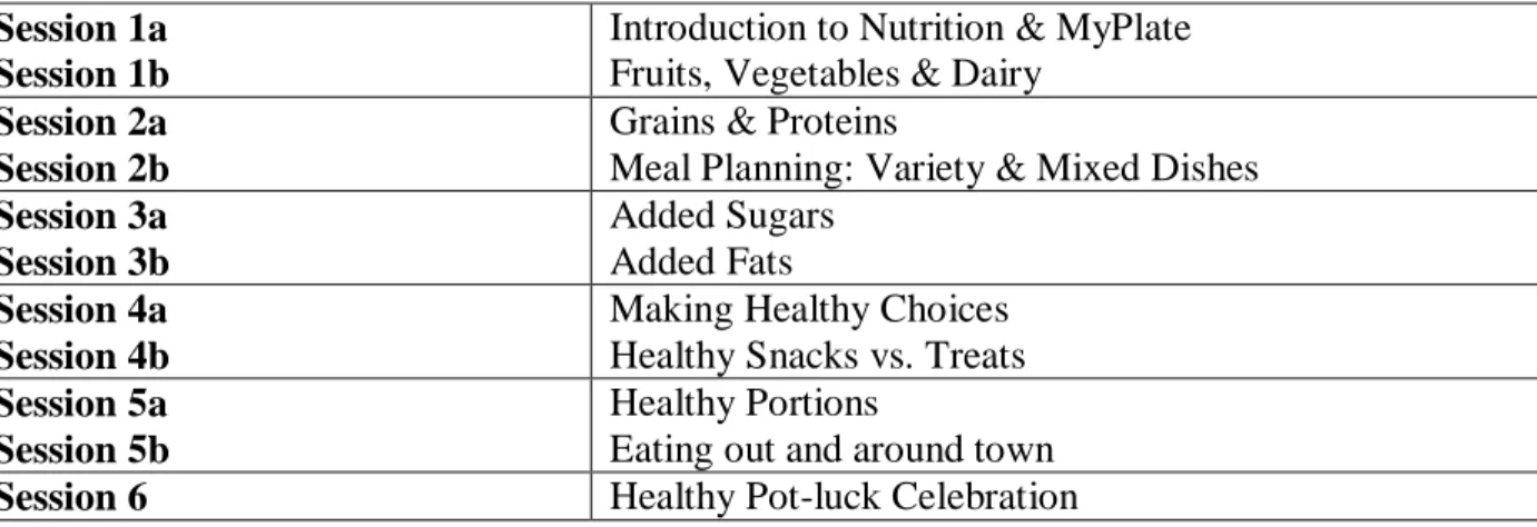 Table 1.  Health U Program Sessions by Topic 