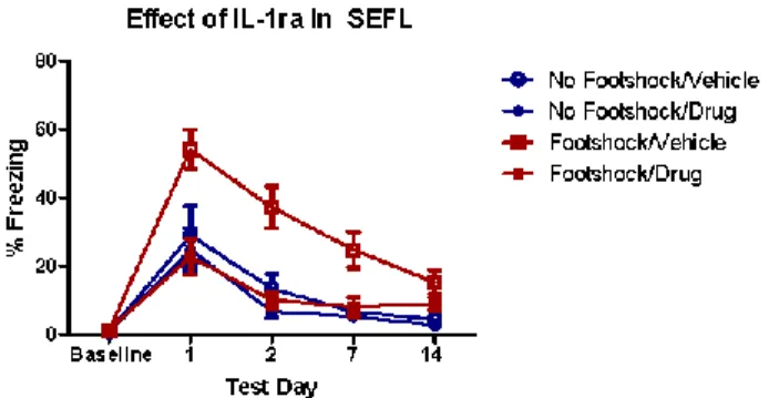Figure 2. IL-1ra prevents the development of SEFL. IL-1ra infusion (i.c.v., 10 µg at 24 and  48 hours after removal from Context A) significantly reduced conditioned freezing behavior  in Context B across test days