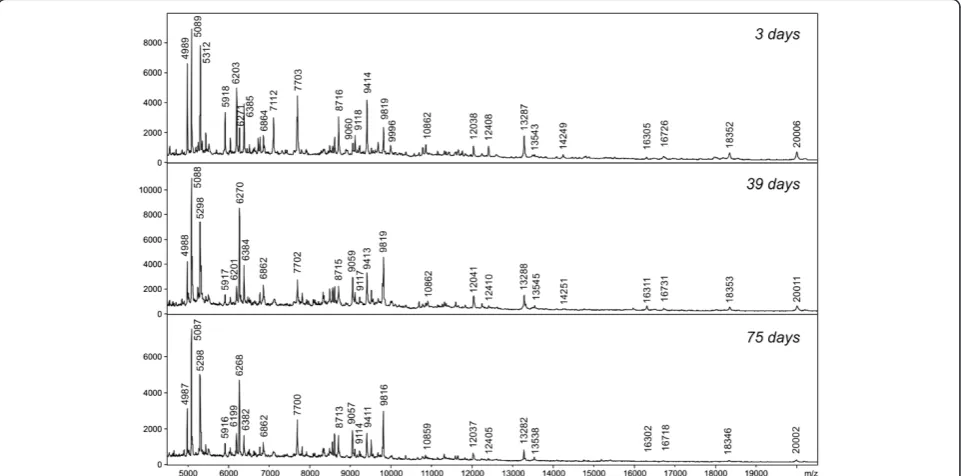 Figure 4 Comparison of MALDI-TOF MS spectra of two males and two females of Phlebotomus tobbi