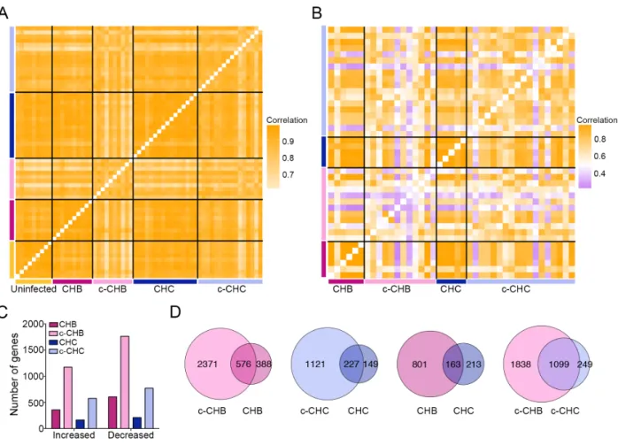 Figure 2.1 Global gene expression in chronic viral hepatitis and cancer. (A &amp; B) Pearson  correlation coefficient heat maps