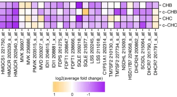 Figure 2.2 Expression of genes in the cholesterol synthesis pathway in chronic viral  hepatitis and cancer