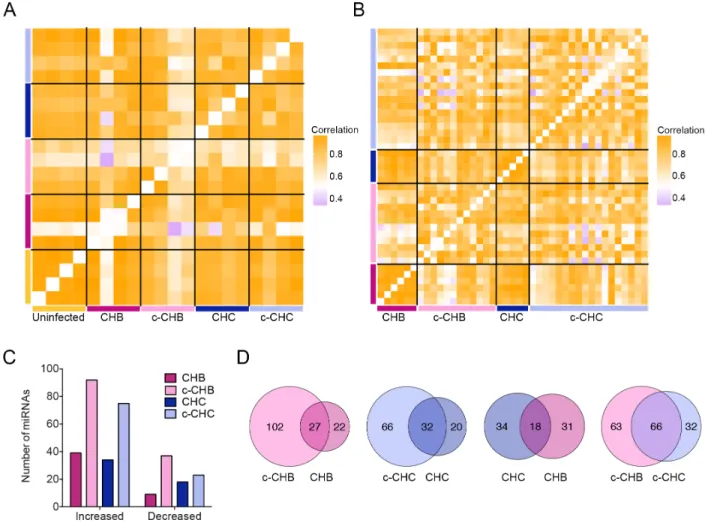 Figure 2.3 Global miRNA expression in chronic viral hepatitis and cancer. (A &amp; B)  Pearson correlation coefficient heat maps