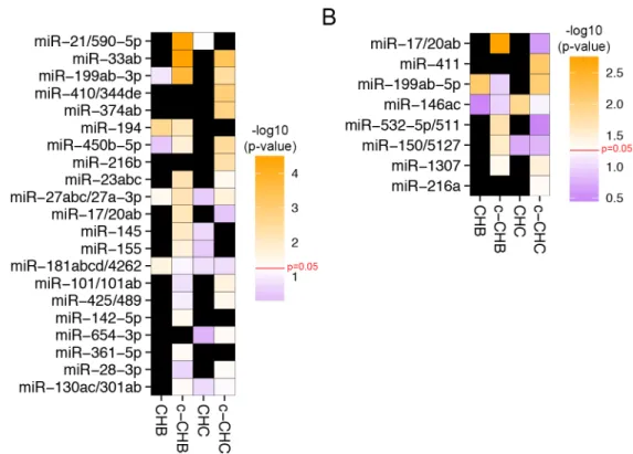 Figure 2.5 Candidate miRNA master regulators of gene expression profiles in chronic  viral hepatitis and associated liver cancer