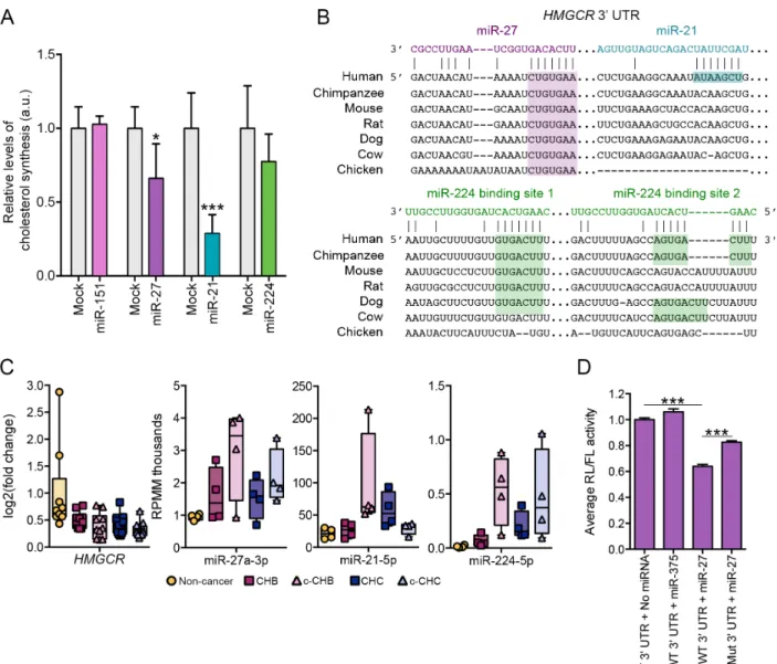 Figure 2.6 Candidate miRNA master regulators miR-27 and miR-21 control cholesterol  synthesis in vitro