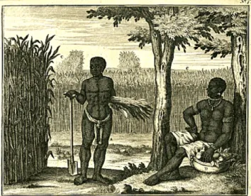 Figure 2: Depiction of Surinamese slaves on the plantation 